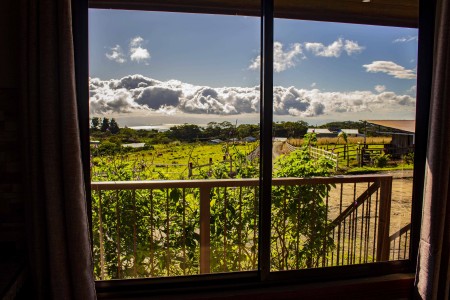 Habitación con Vista al Jardín