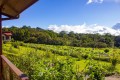 Habitación con Vista al Jardín