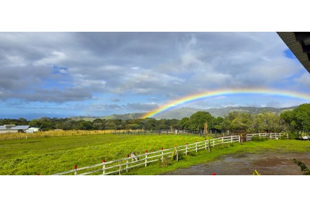 Aventura de 2 noches en Monteverde para 2 personas.